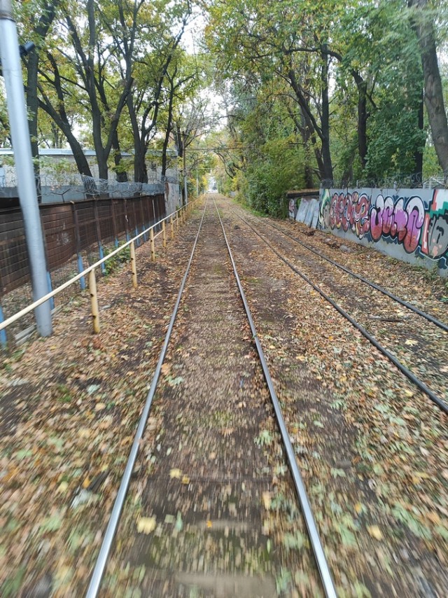 Диагноз: Саратов