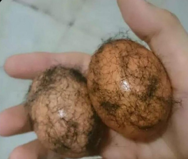 Общемировая яичная истерия