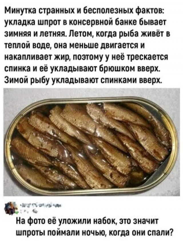 Так себе картинки 27.03.24