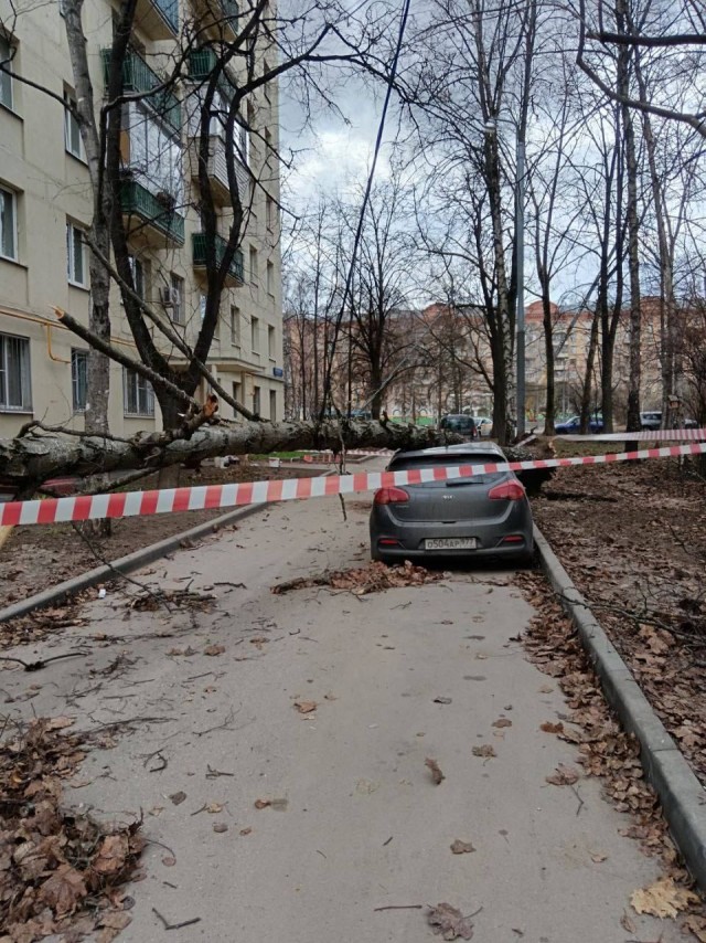 Жителям Москвы порекомендовали меньше находиться на улице – МЧС выпустило экстренное предупреждение об усилении ветра до 21 м/с