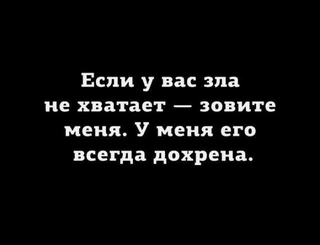 Весёлый полтшок 09.05.24