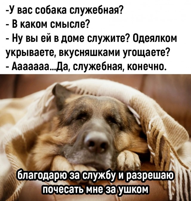 Так себе картинки 19.05.24