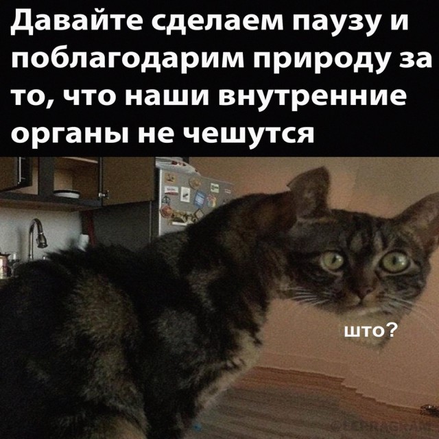 Завалялось тут случайно немного забавных картинок