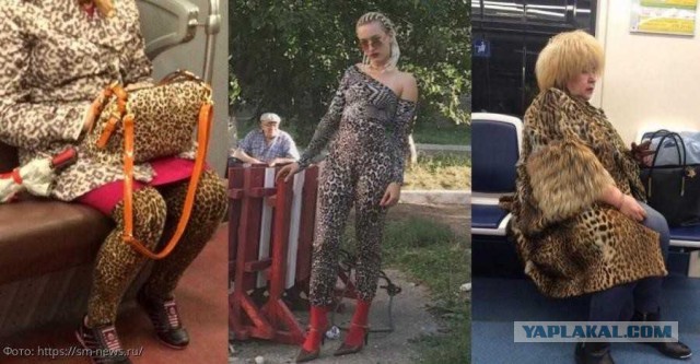 Для чего лесникам, грибникам и прочим рыбакам камуфляж?