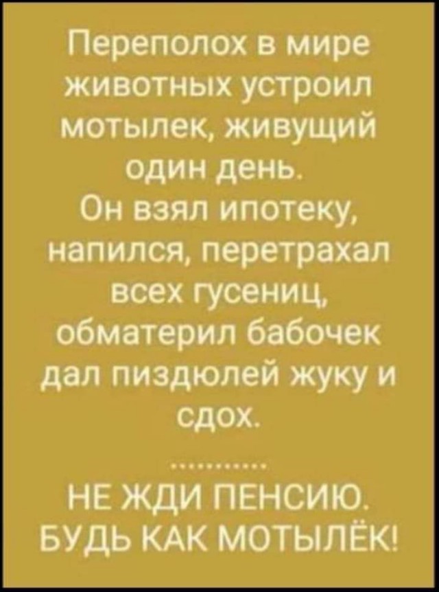 Осенние бояны