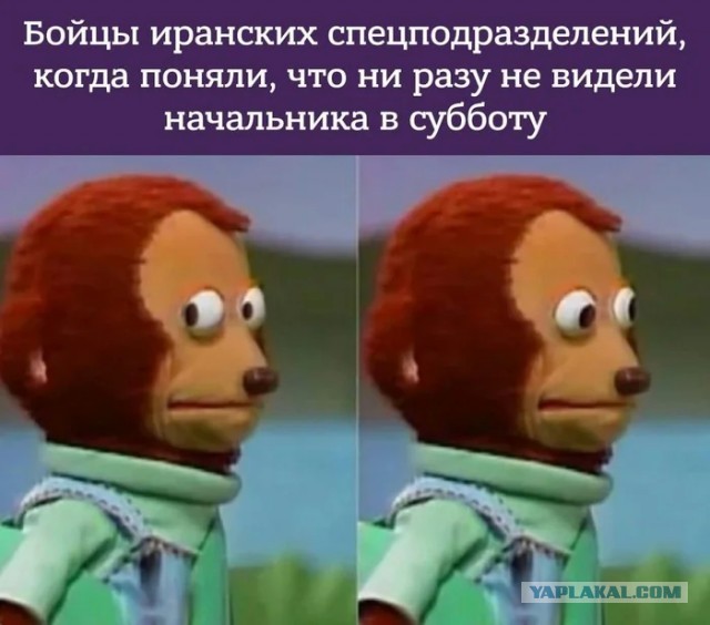 На злобу дня