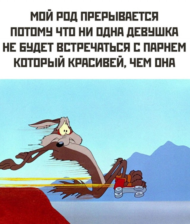 Весёлый полтишок 04.10.2024