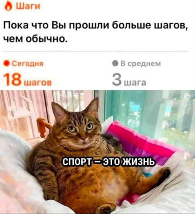 Расскажи мне про море