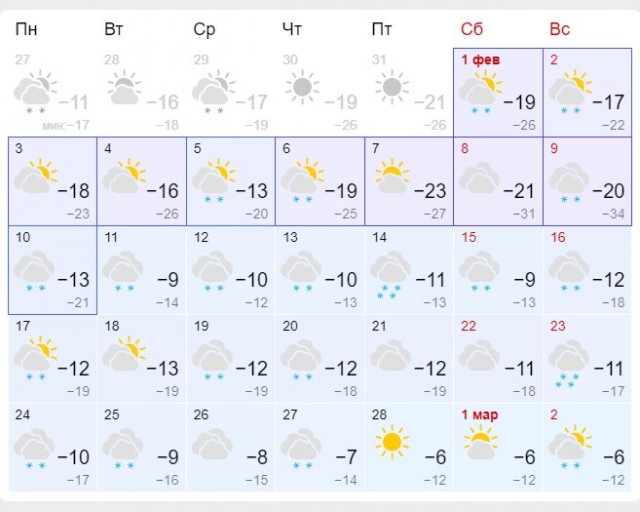 Жизнь домашнего приюта для котеек 530