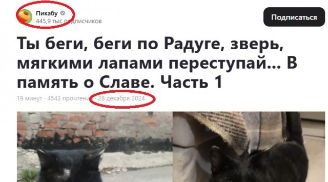 Ты беги, беги по Радуге, зверь, мягкими лапами переступай... В память о Славе