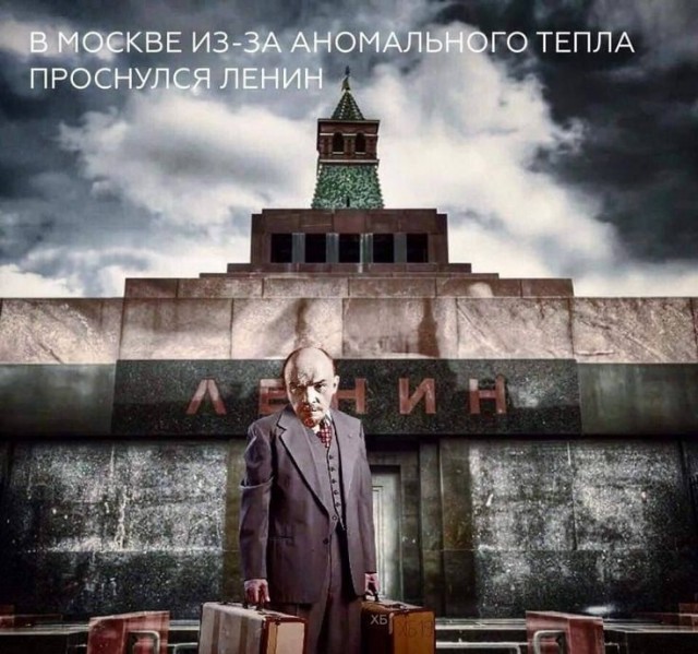 Ядовитые гадюки проснулись в Подмосковье раньше времени из-за тёплой зимы