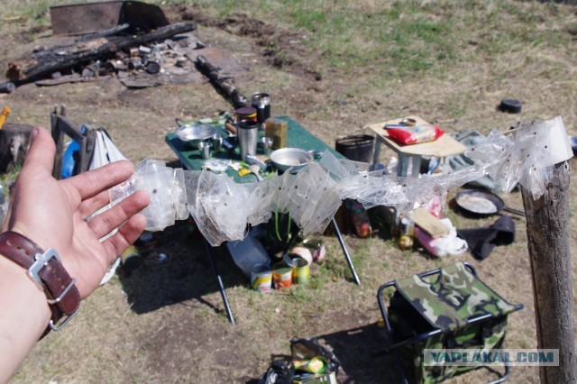 Сейчас бы поваляться на траве