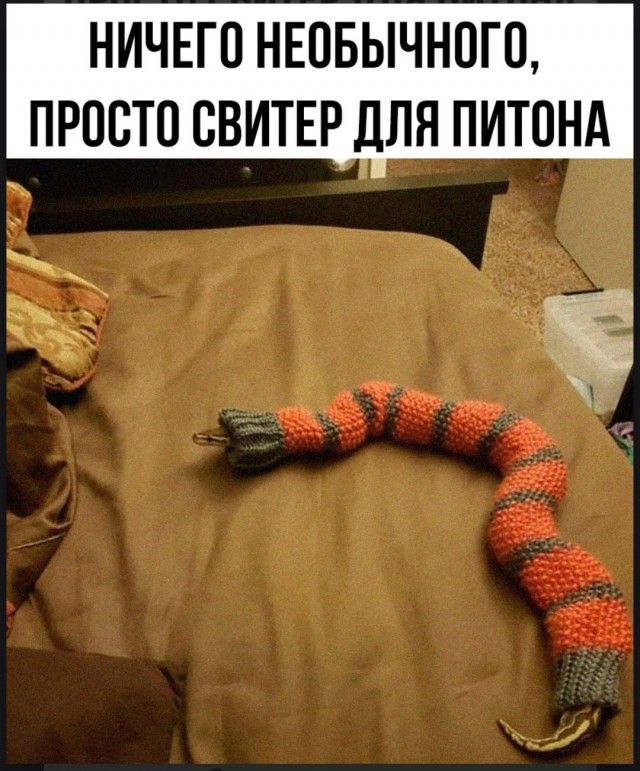 Так себе картинки 11.05.25