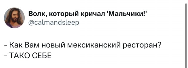 Юмор в буквах за день и шесть ног