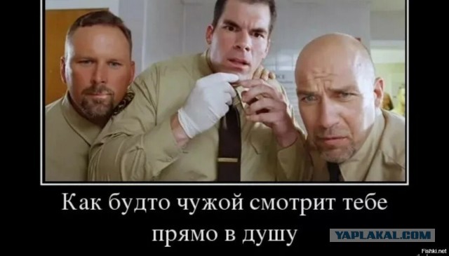 Праздничная дичь. Ударная доза