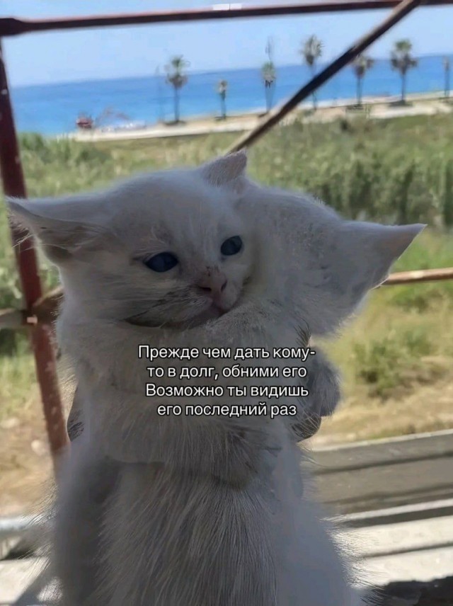 Картинки для деградации 3 (разной степени свежести)