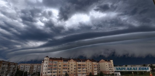 В тему мотивации⁠⁠