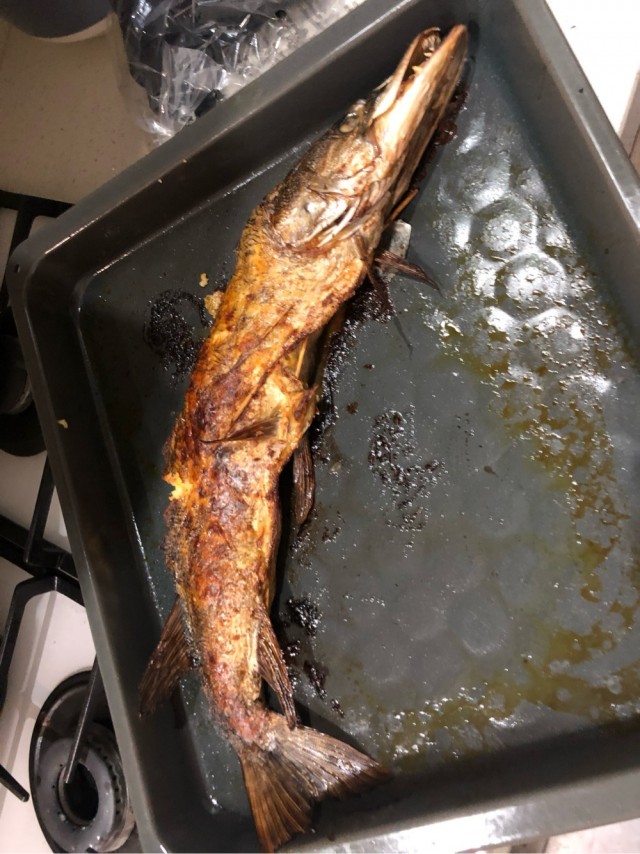 Небольшая поклёвка в последние осенние дни.