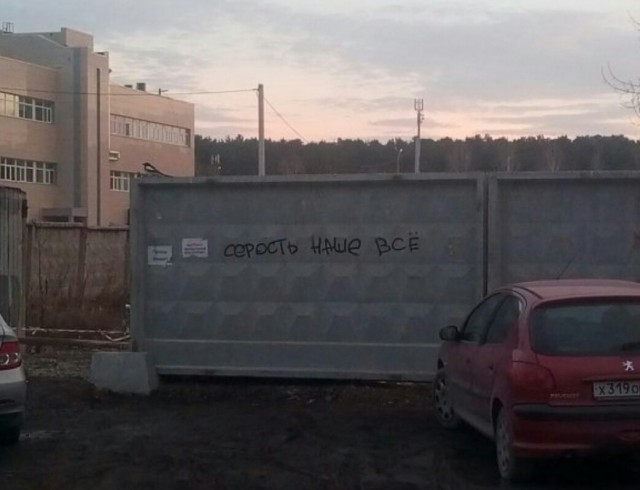 Так себе картинки 19.11.25