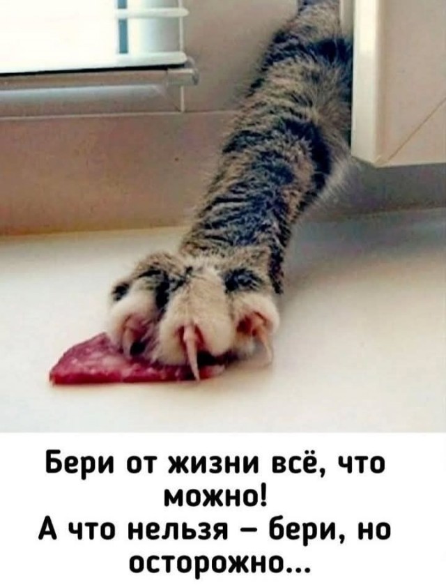Субботние картинки
