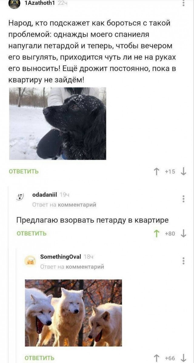 Нуштош. Лужа истекшего периода (s5e3)
