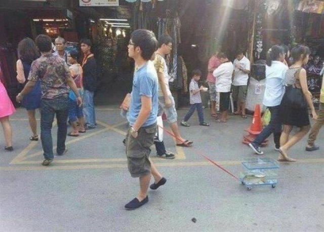 Подборка фотографий из серии "Что здесь происходит?!"