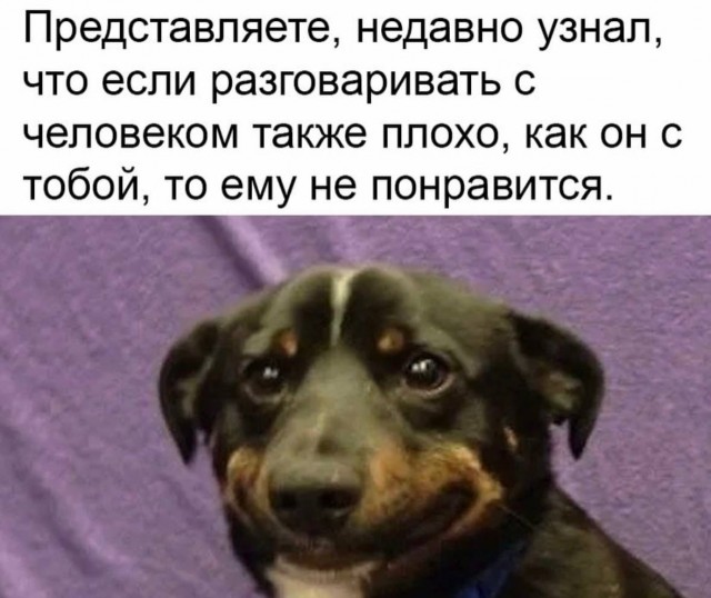 Среды картинки