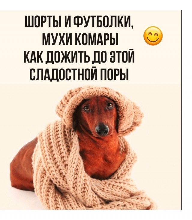 Вторника картинки