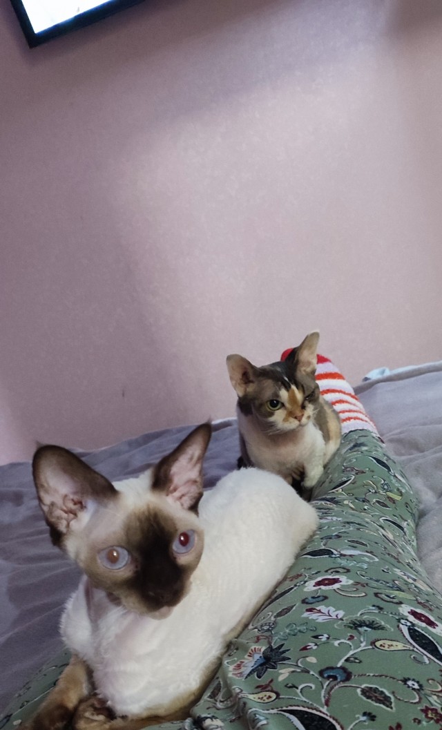 Паровозик