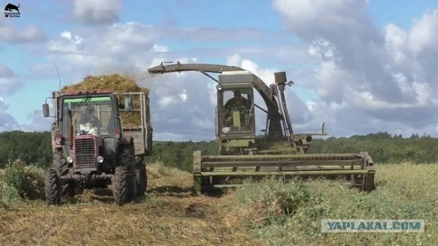 Что стало с заводом IFA, который производил в ГДР знаменитые грузовики