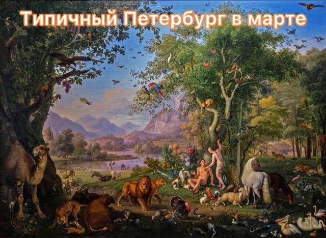 Москва Жара