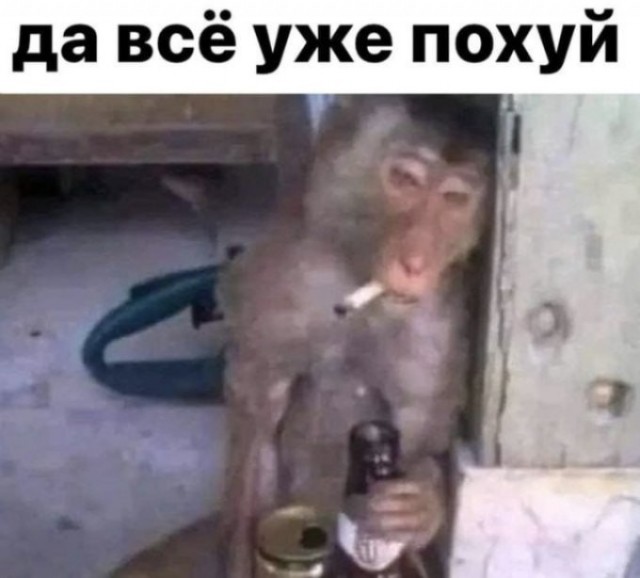Путин заявил, что серьезных угроз в Туапсе нет