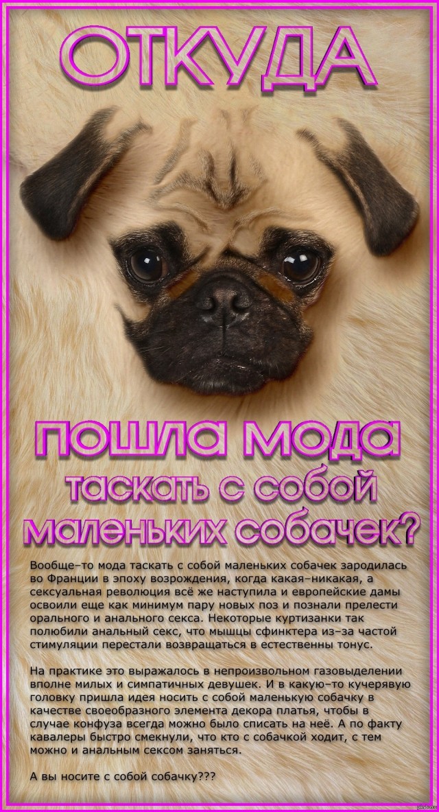 Про женское бритье!
