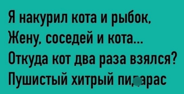 Хитрый кот