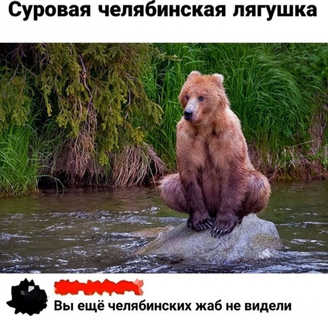 Веселые картинки в маленькую пятницу (05.08)