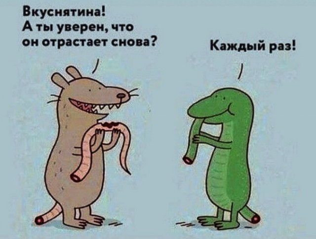 Картинки для деградации 280 (разной степени свежести)