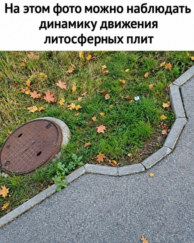 Так себе картинки 25.09.26