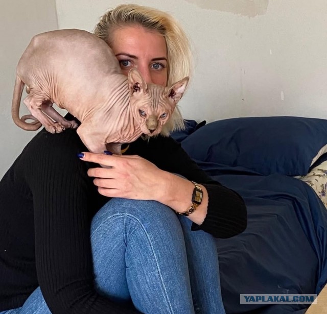 Ещё котики, пока властвует вторник))