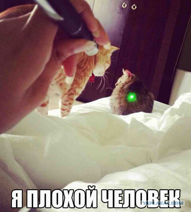 Фотки из интернета.