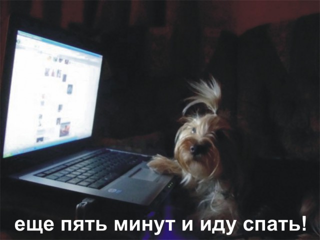 Картинки