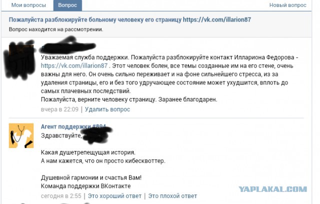 Нечто в соцсети.