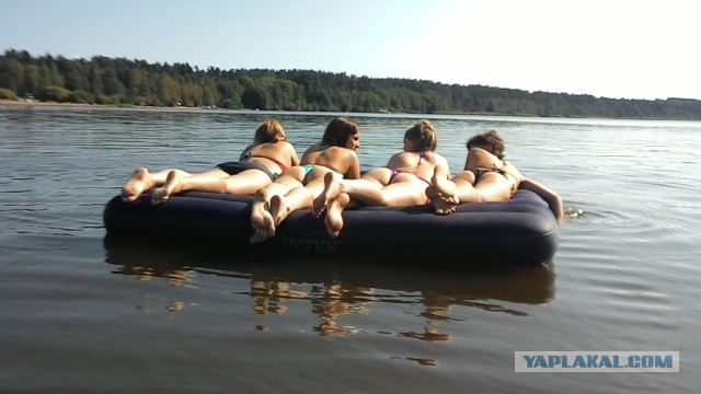 Последнее фото с Вашего телефона.