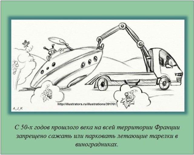 20 фактов обо всем