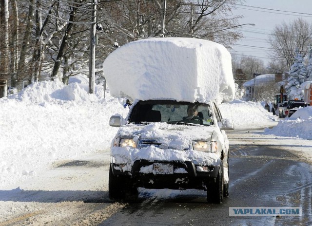 СНЕЖОК Владивосток 04.03.2015
