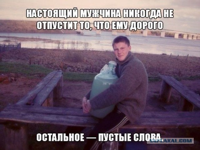 Картинки