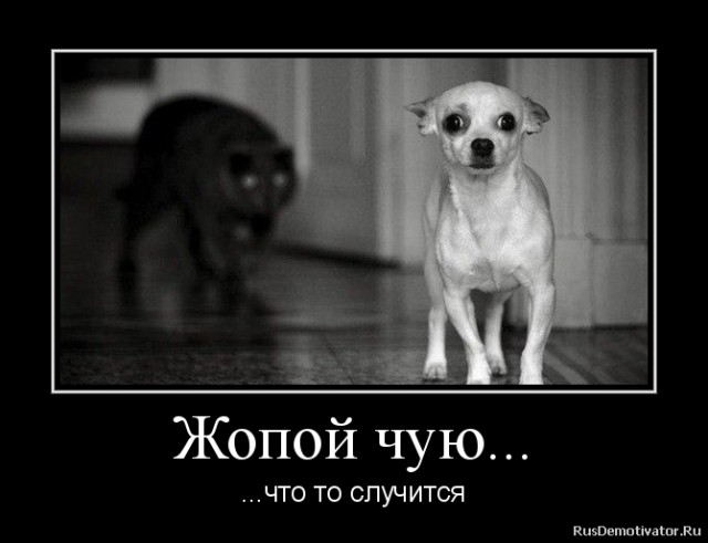 Котовторнику посвящается.
