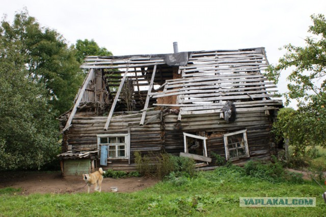 Поиск родственников