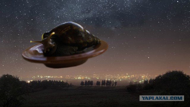 В Бразилии засняли НЛО в форме пирамиды