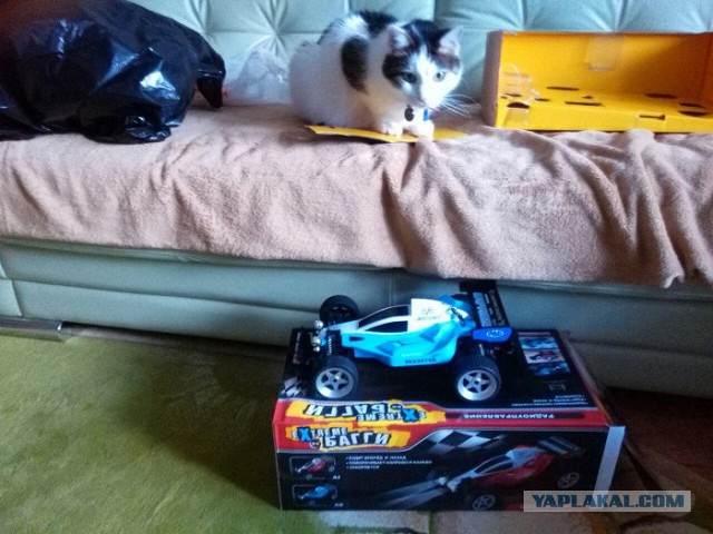 Я взрослый мужик!