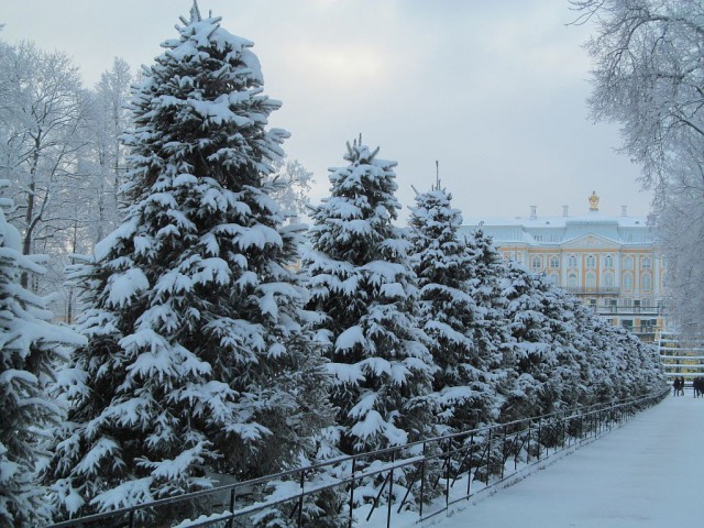 Белый Петергоф